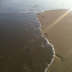 footprints